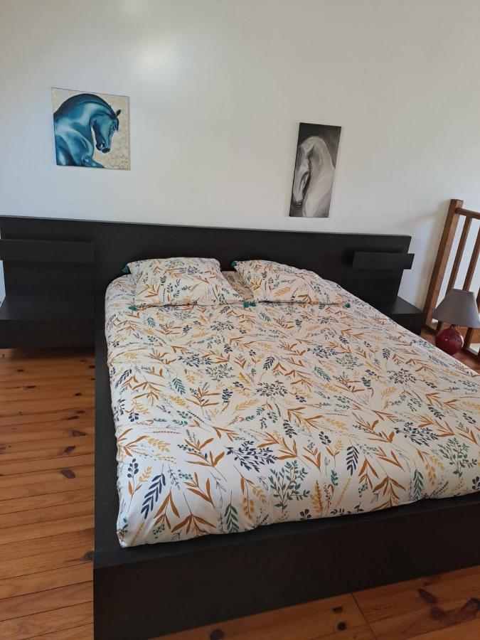 La Vauterie Villa Saint-Martin-de-Cenilly Eksteriør bilde
